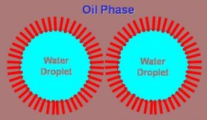 Oil Phase Emulsion