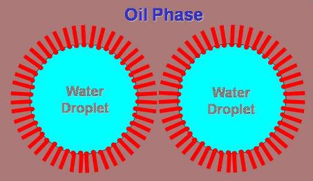 Oil Phase Emulsion