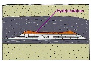 carbonate reef