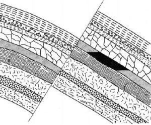 A cross section of a faulted reservoir.