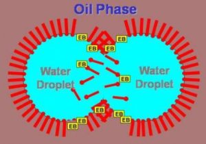 what are Emulsions