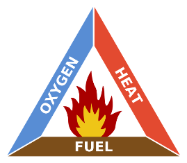 what does Combustion mean