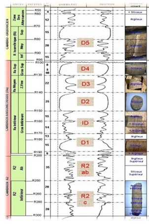 Geologic cross section and Drains of Hassi-Messaoud field [4]
