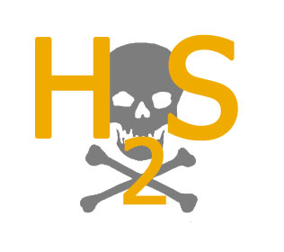 H2S