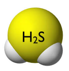 H2S in Oil Industry