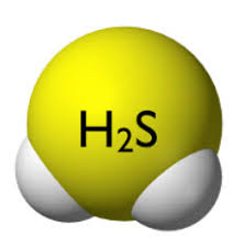 H2S