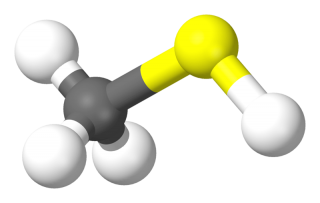 mercaptan