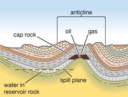 petroleum traps