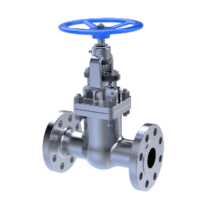 gate valve